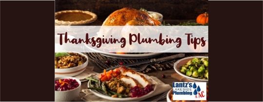 thanksgiving graphic